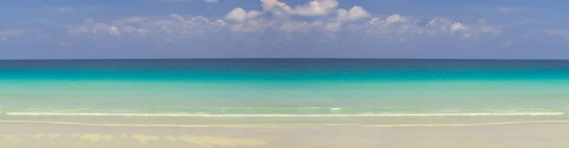 View of nice tropical empty sandy beach with some palm. Banner lots of copy space.